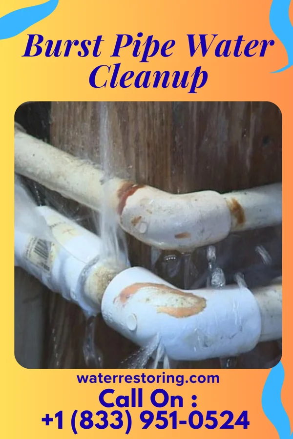 Burst Pipe Water Cleanup in Glen Rose, TX